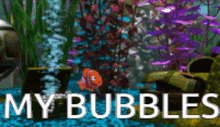 bubbles bubbles
