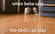 Beba Play GIF - Beba Play GIFs