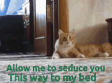 Allow Me To Seduce You Cat GIF - Allow Me To Seduce You Cat Walking GIFs