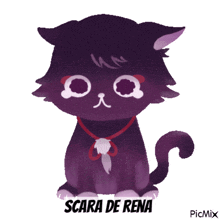 a picture of a cat with the name scara de rena on it