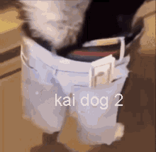 Kai Dog Kai Dog2 GIF
