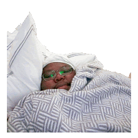 a man with glasses is wrapped in a blanket with a pillow on his head