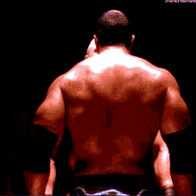Brock Lesnar The Rock GIF - Brock Lesnar The Rock Summer Slam GIFs