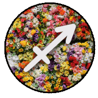 Zodiac Signs Flowers Sticker