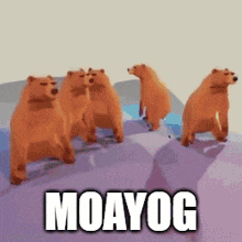 Moayog GIF - Moayog GIFs