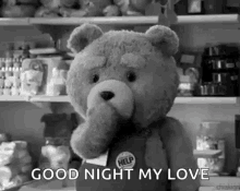 Ted Good Night My Love GIF - Ted Good Night My Love Blow A Kiss GIFs