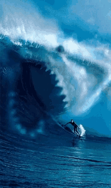 Surfing Ocean GIF - Surfing Ocean Wave GIFs