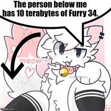 the person below me has 10 terabytes of furry 34 written on a cartoon