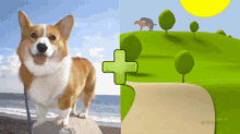 Can Cross Breed Dogs Reproduce GIF - Can Cross Breed Dogs Reproduce GIFs