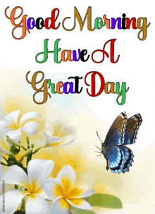 a butterfly sits on a flower with the words good morning have a great day below it