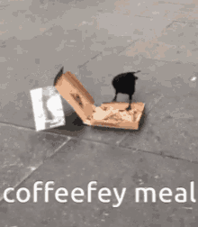 Coffee Coffeefey GIF - Coffee Coffeefey Crow GIFs