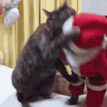 Santa Cat Fight GIF - Santa Cat Fight GIFs