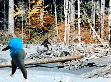a person with a blue backpack is walking through a forest