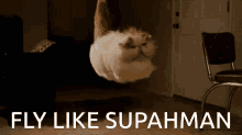 Cat Floating GIF - Cat Floating Fly Like Superman GIFs