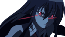 akame ga kill