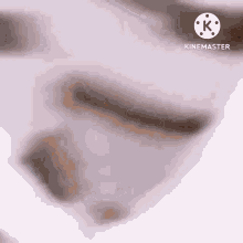 Cute Cat Rolling Pfp Animated Discord GIF