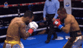 a man wearing everlast boxing gloves is fighting another man in a ring