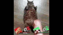Cat Eating Bread GIF