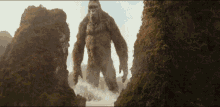 Kong King Kong GIF