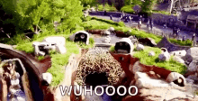 a person is riding a roller coaster in a park with the words wuhoooo written on the bottom of the picture .