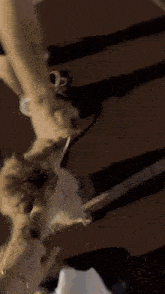 a shadow of a person holding a child 's hand on the ground
