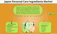 Japan Personal Care Ingredients Market GIF - Japan Personal Care Ingredients Market GIFs