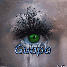 Guapa Guapaocchio GIF - Guapa Guapaocchio Occhioguapa GIFs