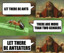 Ant Republic Ants GIF - Ant Republic Ants Two Genders GIFs