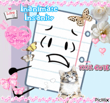 a picture of a cat and a paper with the words inanimate insanity on it