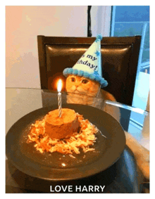 a cat wearing a party hat looks at a birthday cake with a candle on it
