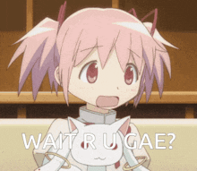 a girl with pink hair is holding a white cat and the words wait r u gae