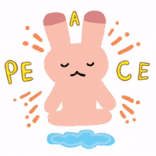 peace bunny