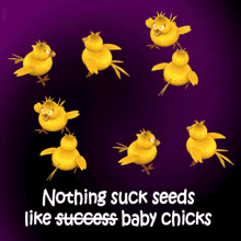 Nothing Succeeds Like Suck Seeds GIF - Nothing Succeeds Like Suck Seeds Baby Chicks GIFs