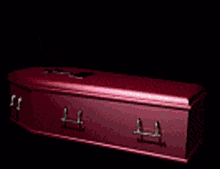 Coffin Dead GIF - Coffin Dead GIFs