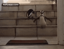 Penguins Jumping Off The Stairs.Gif GIF - Penguins Jumping Off The Stairs Penguins Stairs GIFs