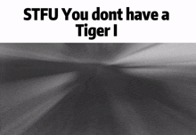 stfu you dont have a tiger i written on a black background
