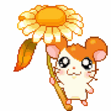 sunflower hamster hamtaro