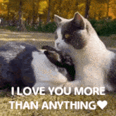 I Love You More Than Anything I'M In Love With You GIF - I Love You More Than Anything I Love You I'M In Love With You GIFs