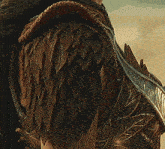 a close up of a person 's shoulder with feathers and leaves
