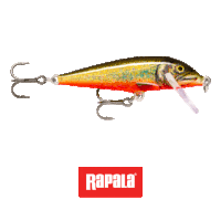 a rapala fishing lure with two hooks on it