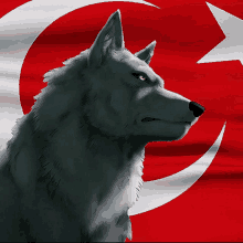 ülkücü Wolf GIF