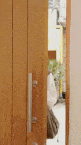 a wooden door with a metal handle is open to a hallway
