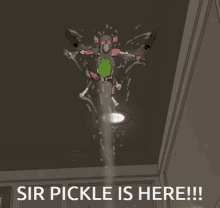 Sir Pickle Here GIF - Sir Pickle Here Sir GIFs