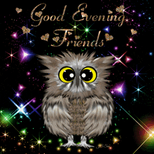 a colorful owl with the words good evening friends on it