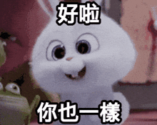a cartoon rabbit with chinese writing on it 's face