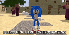 Everything Here Is Weird Looking Sonic GIF