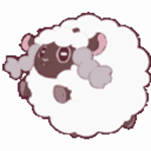 lamb animal roll sheep