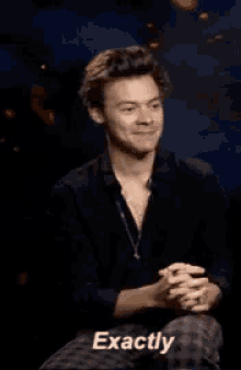 Harry Styles Exactly GIF - Harry Styles Exactly GIFs