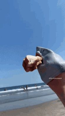 Shark Puppet Seagull GIF