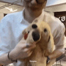 a man is holding a stuffed dog that looks like a dog with dimples on it 's nose